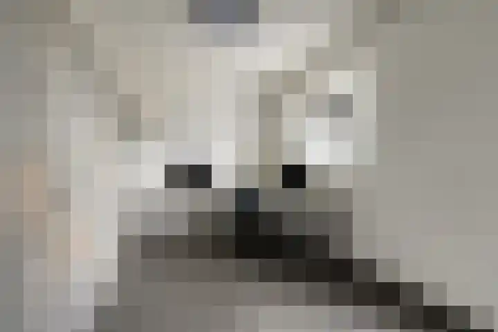 Grashegge 6 Eindhoven thumbnail 22