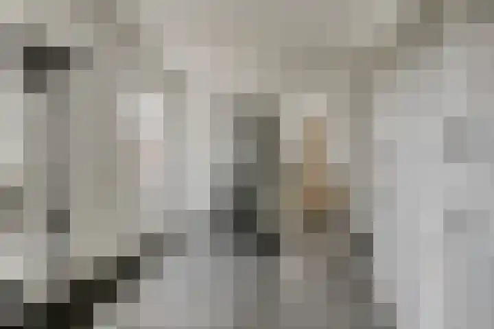 Grashegge 6 Eindhoven thumbnail 23