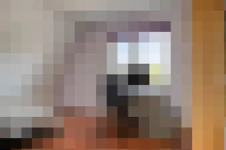 Grashegge 6 Eindhoven thumbnail 33