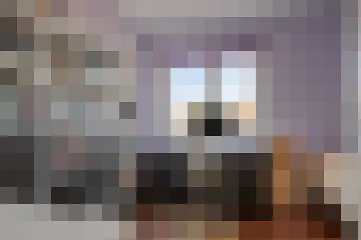 Grashegge 6 Eindhoven thumbnail 35