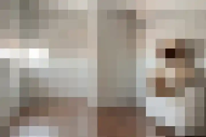 Grashegge 6 Eindhoven thumbnail 39