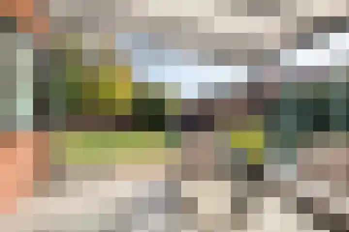 Grashegge 6 Eindhoven thumbnail 42