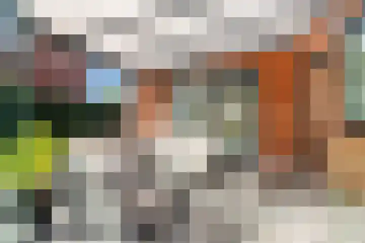 Grashegge 6 Eindhoven thumbnail 43