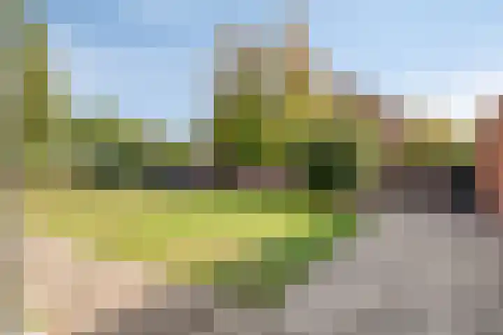 Grashegge 6 Eindhoven thumbnail 44
