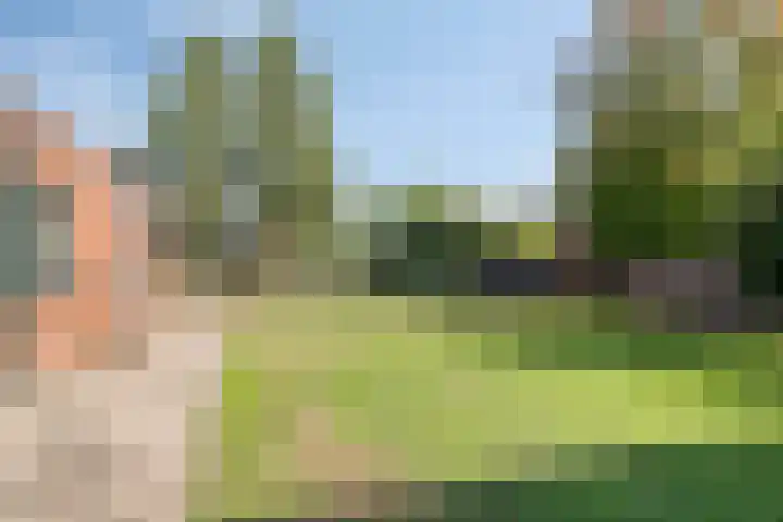 Grashegge 6 Eindhoven thumbnail 45