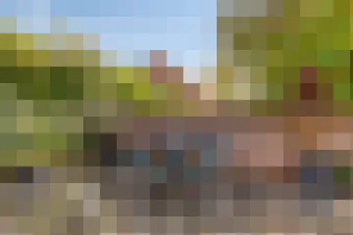 Grashegge 6 Eindhoven thumbnail 47