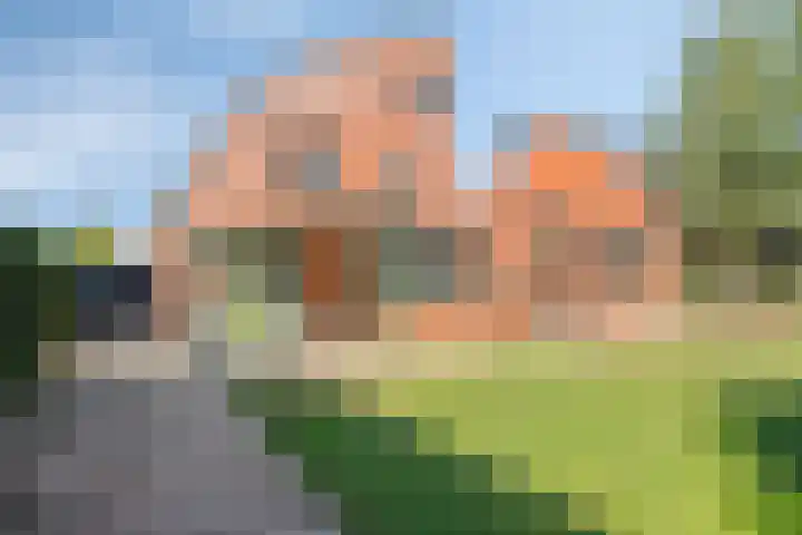 Grashegge 6 Eindhoven thumbnail 48