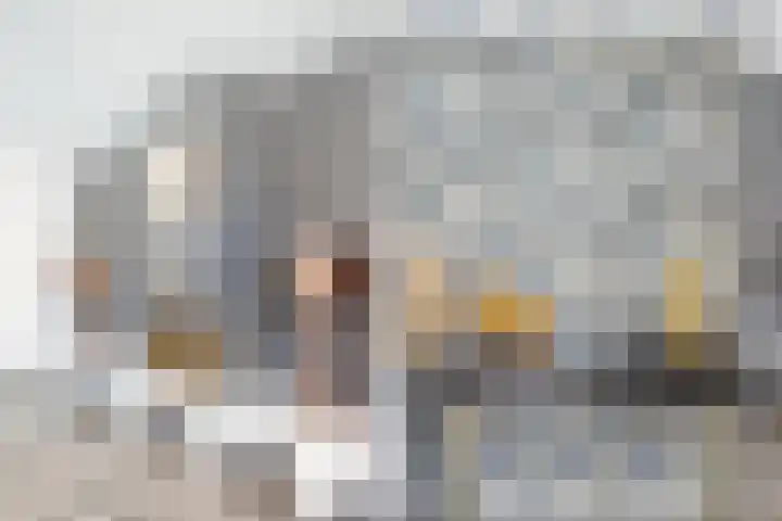 Grashegge 6 Eindhoven thumbnail 49