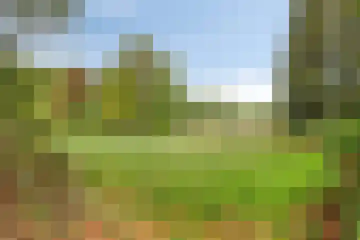 Grashegge 6 Eindhoven thumbnail 53