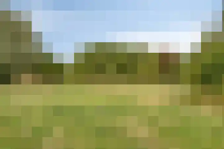 Grashegge 6 Eindhoven thumbnail 54