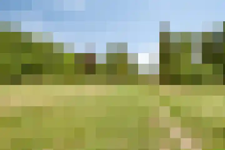 Grashegge 6 Eindhoven thumbnail 55