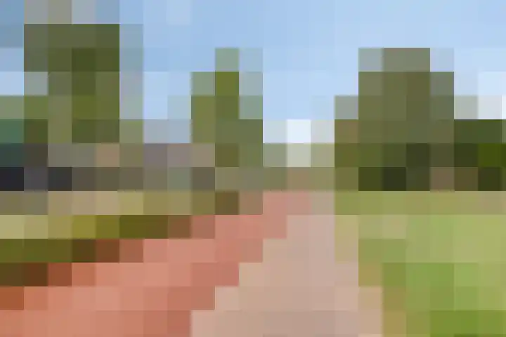 Grashegge 6 Eindhoven thumbnail 56