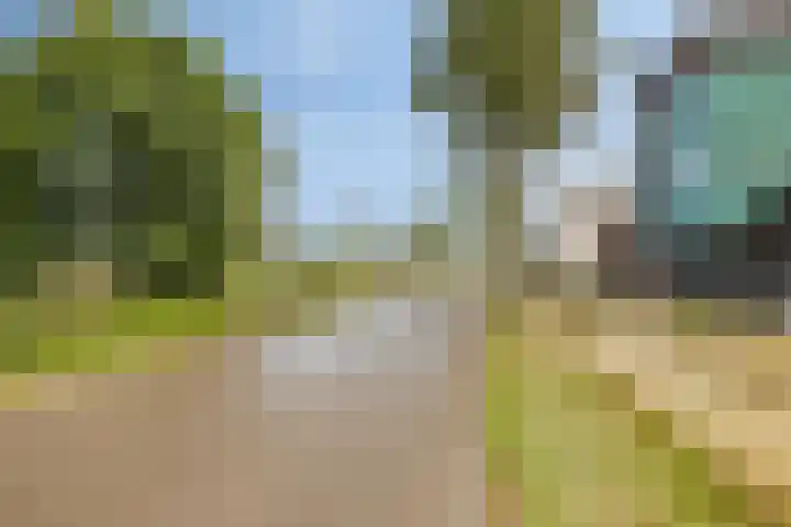 Grashegge 6 Eindhoven thumbnail 57