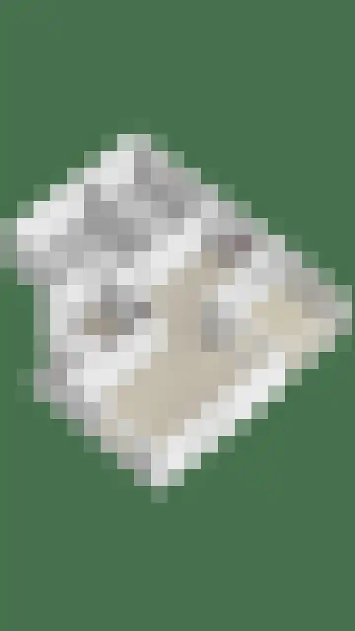 Grashegge 6 Eindhoven thumbnail 61