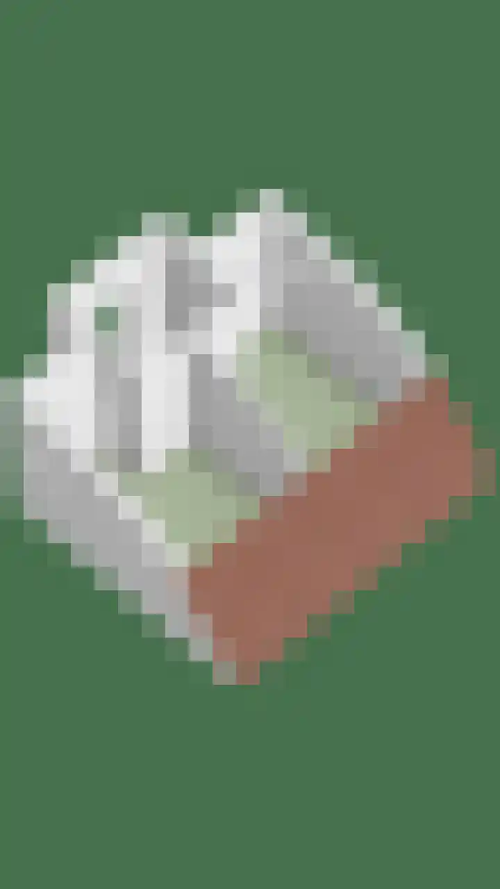 Grashegge 6 Eindhoven thumbnail 63
