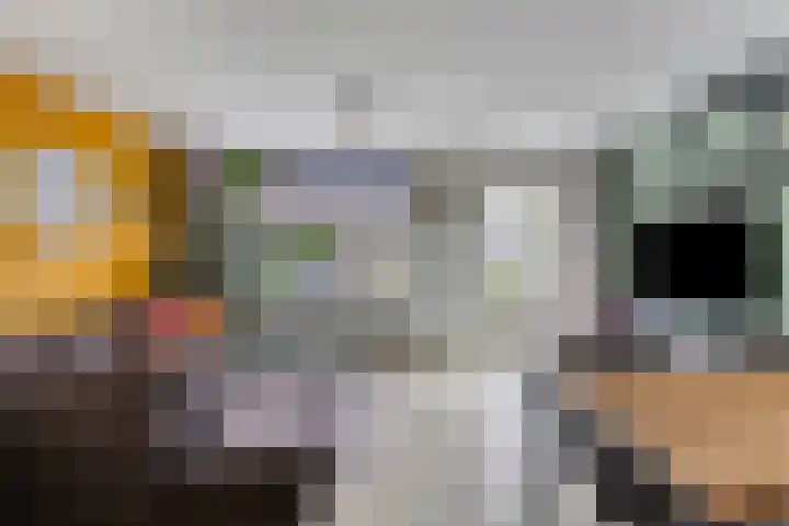 Grasheuvel 12 Best thumbnail 10