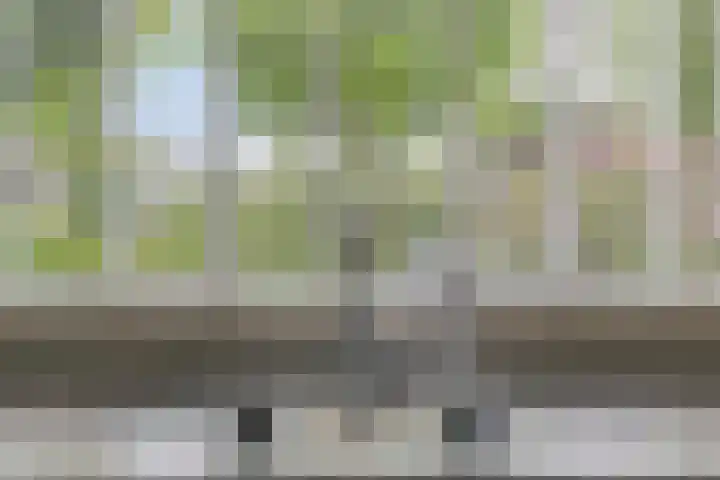 Grasheuvel 12 Best thumbnail 13