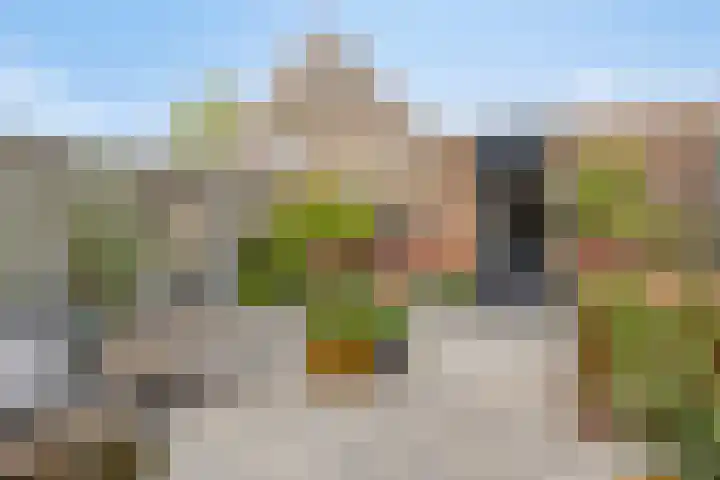 Grasheuvel 12 Best thumbnail 14