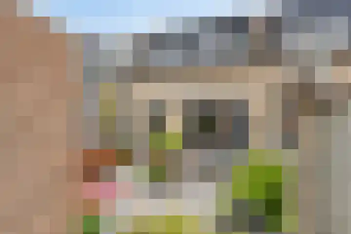 Grasheuvel 12 Best thumbnail 15