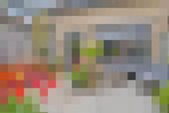 Grasheuvel 12 Best thumbnail 16