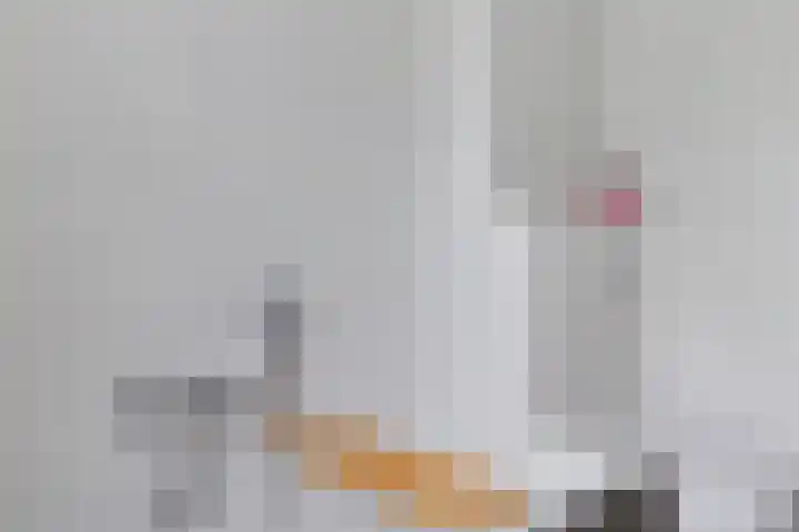 Grasheuvel 12 Best thumbnail 19