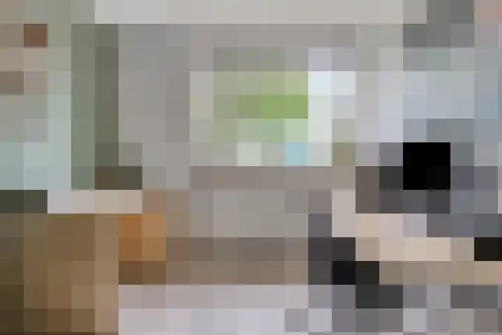 Grasheuvel 12 Best thumbnail 21
