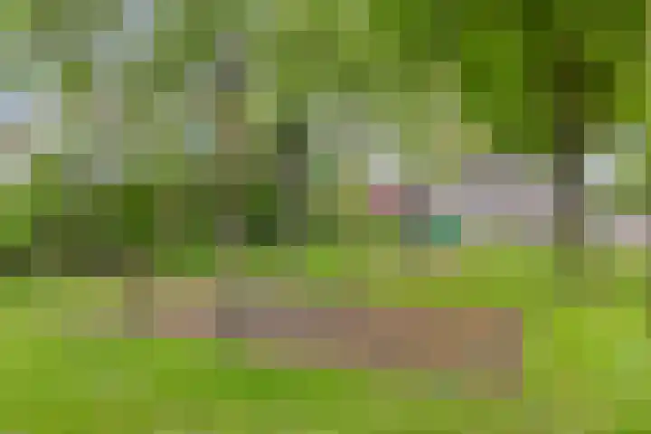 Grasheuvel 12 Best thumbnail 29