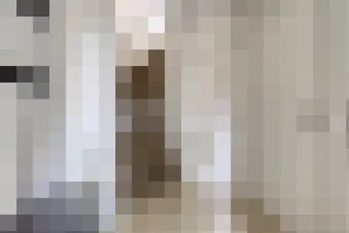 Grasheuvel 12 Best thumbnail 5