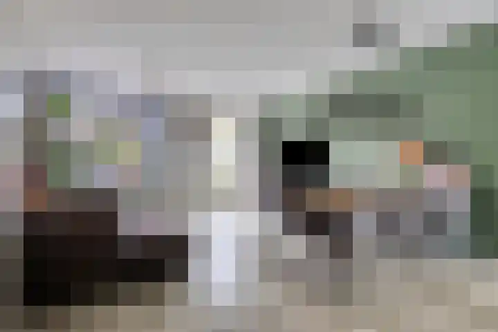 Grasheuvel 12 Best thumbnail 8