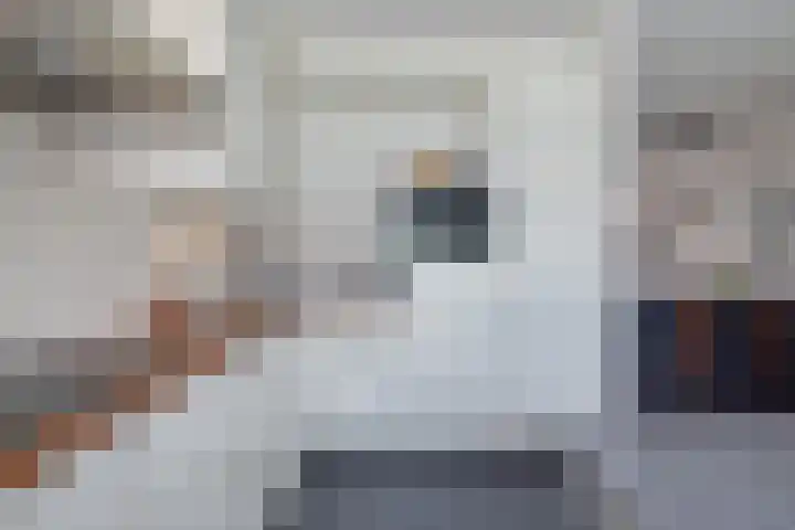 Grashoen 56 Eindhoven thumbnail 14