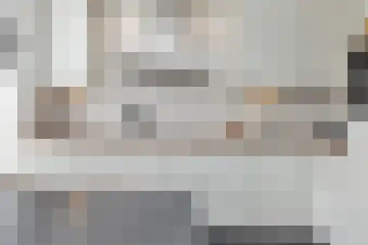 Grashoen 56 Eindhoven thumbnail 15