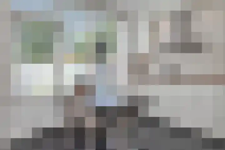 Grashoen 56 Eindhoven thumbnail 16