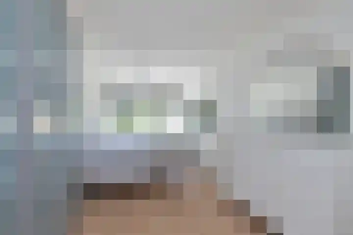 Grashoen 56 Eindhoven thumbnail 18