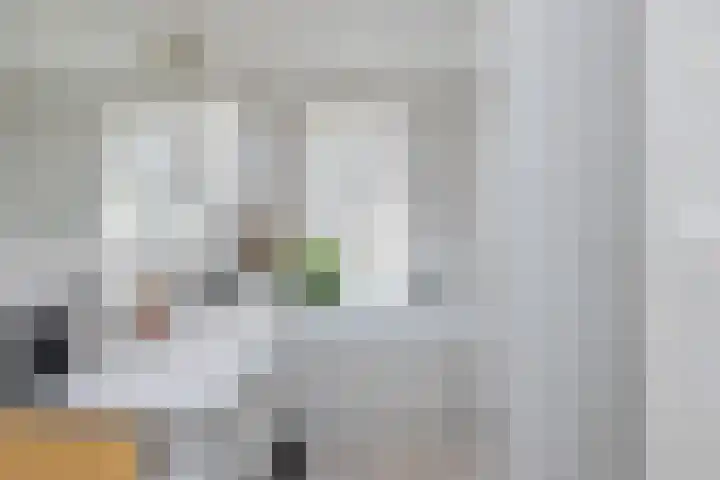 Grashoen 56 Eindhoven thumbnail 20