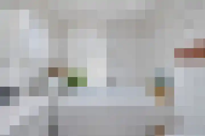 Grashoen 56 Eindhoven thumbnail 21