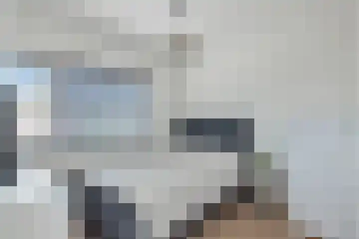 Grashoen 56 Eindhoven thumbnail 26