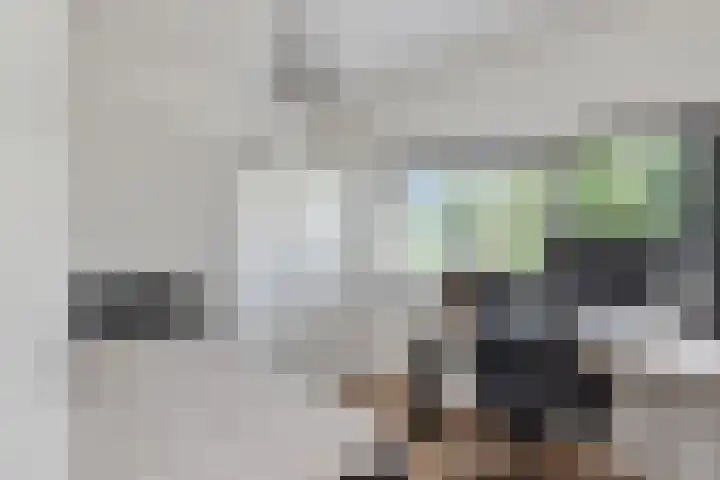 Grashoen 56 Eindhoven thumbnail 27