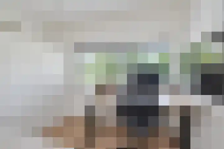 Grashoen 56 Eindhoven thumbnail 28