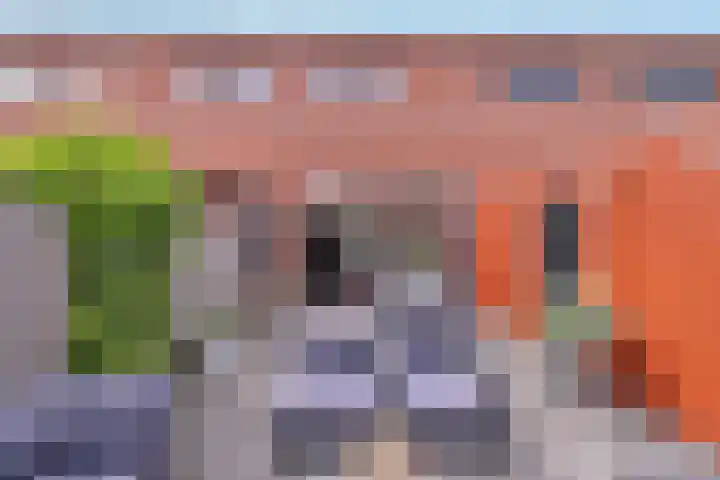 Grashoen 56 Eindhoven thumbnail 29
