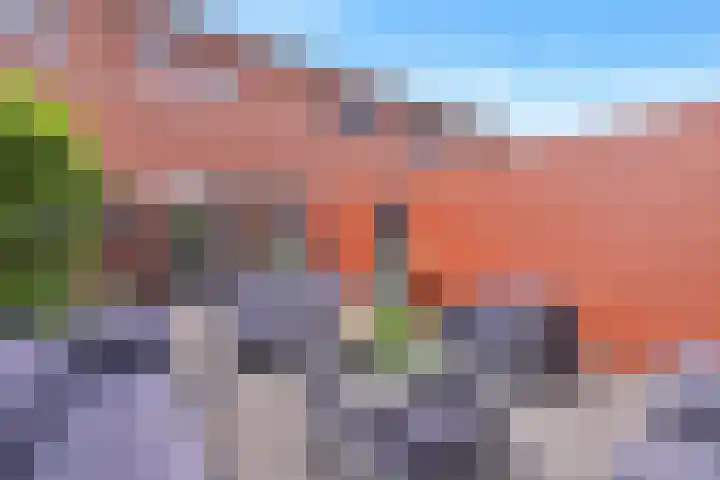 Grashoen 56 Eindhoven thumbnail 30