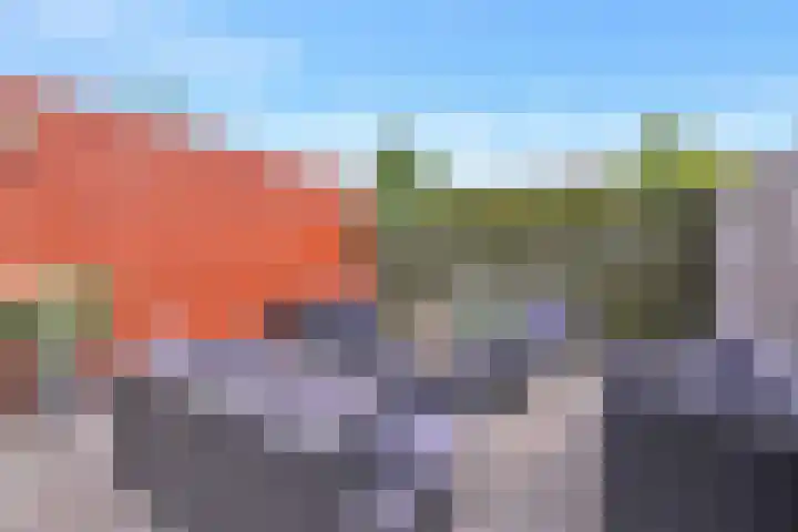 Grashoen 56 Eindhoven thumbnail 31