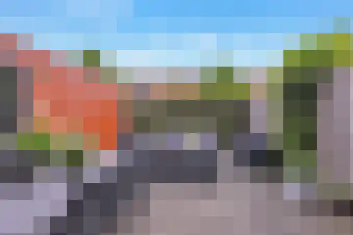Grashoen 56 Eindhoven thumbnail 32