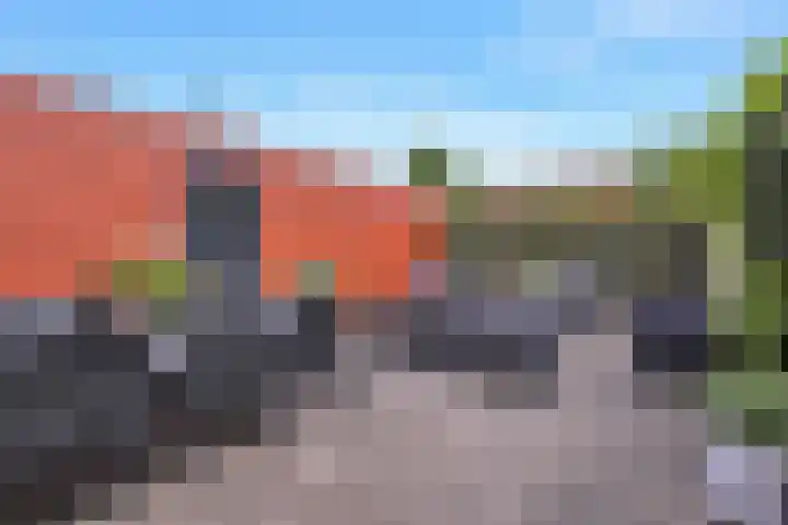 Grashoen 56 Eindhoven thumbnail 33