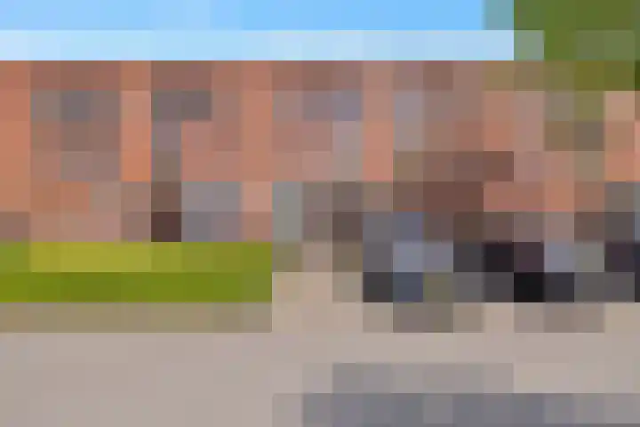 Grashoen 56 Eindhoven thumbnail 38
