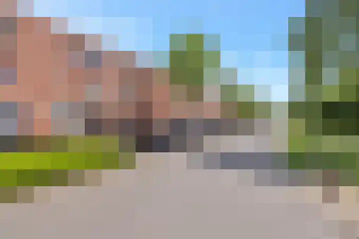 Grashoen 56 Eindhoven thumbnail 5