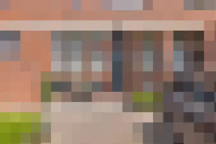 Grashoen 56 Eindhoven thumbnail 6