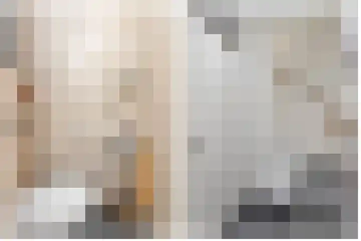 Grashoen 56 Eindhoven thumbnail 7