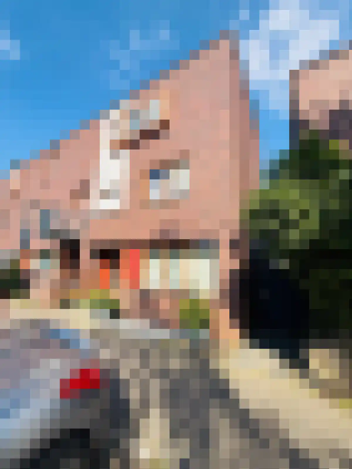 Grashoen 94 in Eindhoven