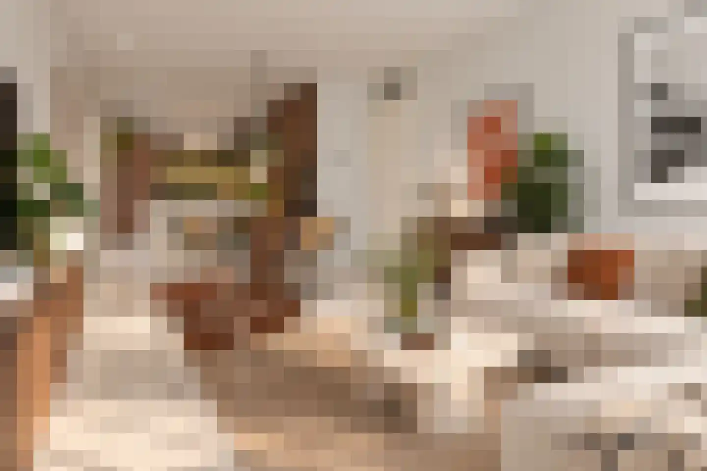 Grashof 103 Leidschendam foto 3