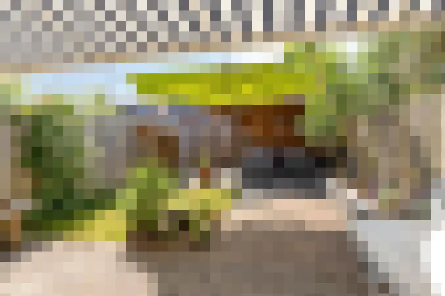 Grashof 11 Alphen aan den Rijn thumbnail 27